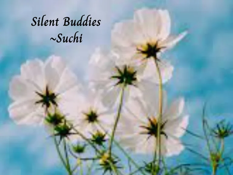 Silent Buddies